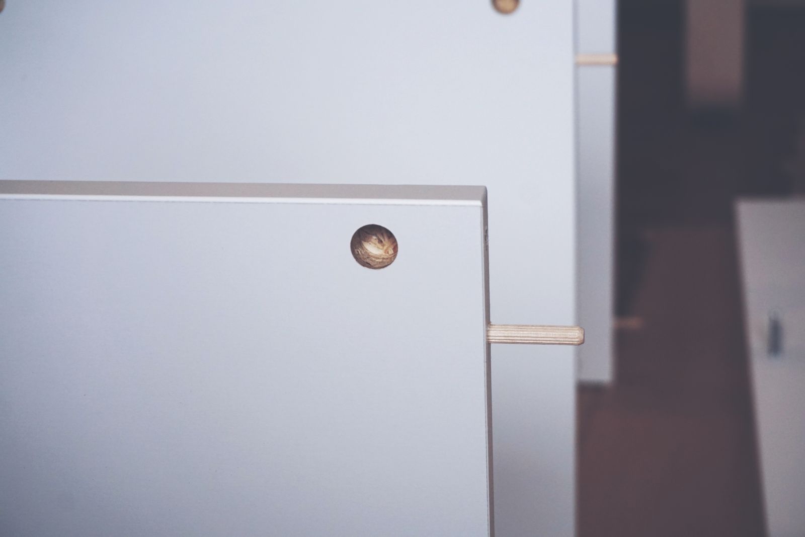 Detail from a recent renovation